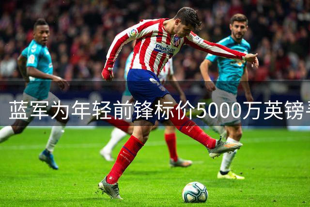 蓝军为年轻前锋标价5000万英镑寻求出售