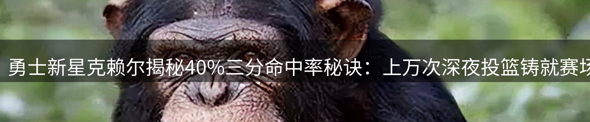资讯一览